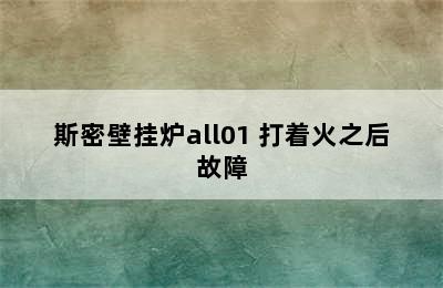 斯密壁挂炉all01 打着火之后故障